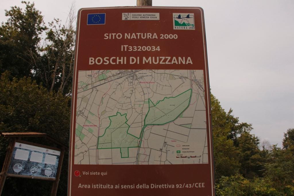 tam corso alberi 2022 La protezione europea di Rete Natura 2000