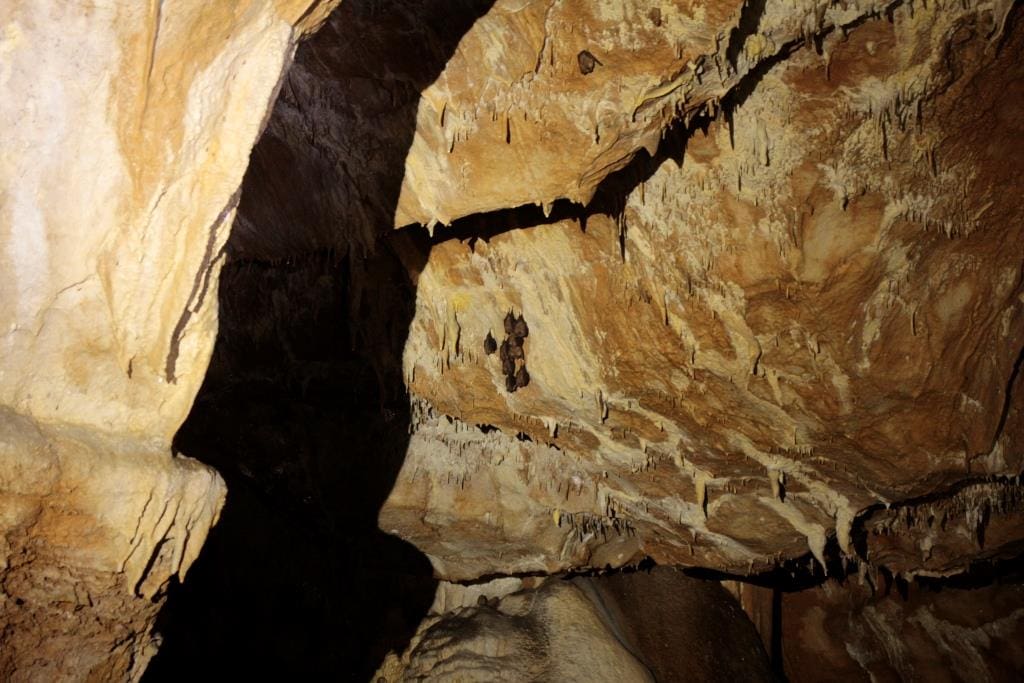 tam esc con s dolce a Črnotiče 11 giu 2023 nella grotta dei pipistrelli 11