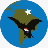 cgeb logo spedizione paraguay